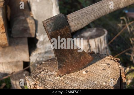 Klinge der verwitterten Axt, die in der Nähe des Baumstammes feststeckt Stockfoto