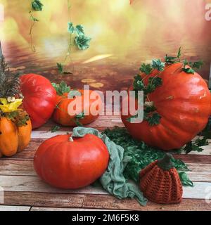 Rote und orangefarbene Kürbisse. Kürbisse auf Holzboden. Stockfoto