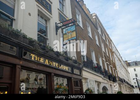 London - The Antelope Fullers Pub in Belgravia SW1 Westminster Stockfoto