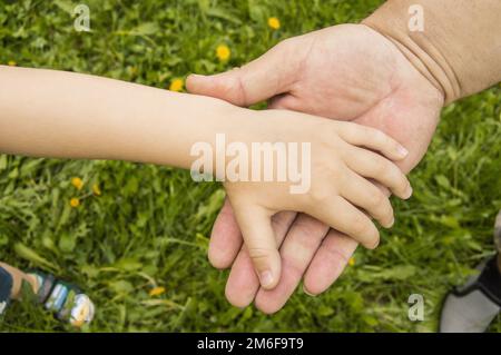 Die Handfläche eines kleinen Kindes ruht auf der Handfläche eines großen Mannes, Vatertag, Natur im Freien, Vertrauen in Familienkonzepte Stockfoto