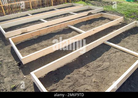 Holzschalung aus neuen Dielen für Gemüsebetten im Garten, Vorbereitung und Bau, Tischlerei Stockfoto