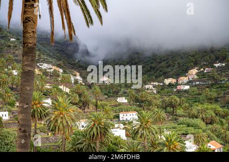 Kulturlandschaft mit Palmen im Valle Gran Rey, La Gomera, Kanarische Inseln, Spanien | Landschaft mit Palmen, Valle Gran Rey, La Gomera, Canary I Stockfoto