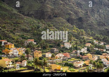 Kulturlandschaft mit Palmen im Valle Gran Rey, La Gomera, Kanarische Inseln, Spanien | Landschaft mit Palmen, Valle Gran Rey, La Gomera, Canary I Stockfoto