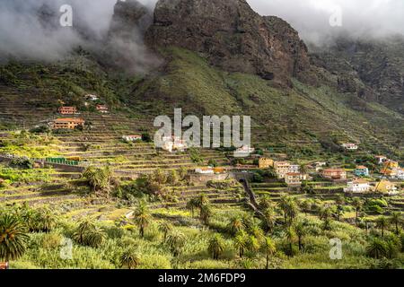 Kulturlandschaft mit Palmen im Valle Gran Rey, La Gomera, Kanarische Inseln, Spanien | Landschaft mit Palmen, Valle Gran Rey, La Gomera, Canary I Stockfoto