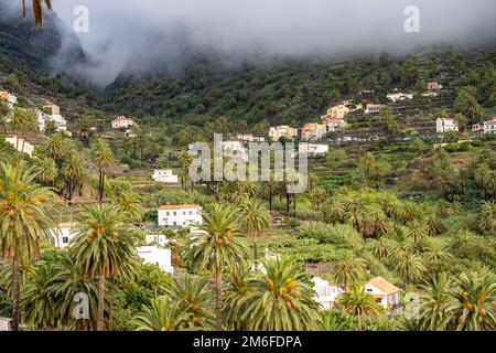 Kulturlandschaft mit Palmen im Valle Gran Rey, La Gomera, Kanarische Inseln, Spanien | Landschaft mit Palmen, Valle Gran Rey, La Gomera, Canary I Stockfoto