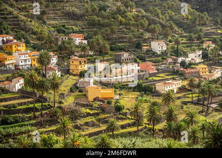 Kulturlandschaft mit Palmen im Valle Gran Rey, La Gomera, Kanarische Inseln, Spanien | Landschaft mit Palmen, Valle Gran Rey, La Gomera, Canary I Stockfoto