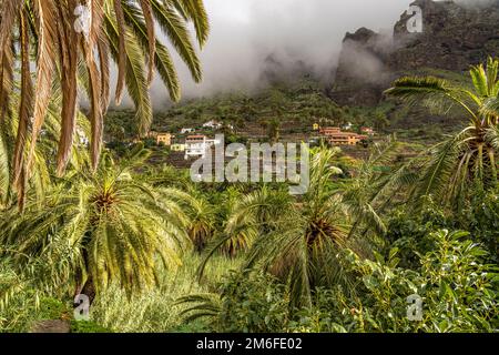 Kulturlandschaft mit Palmen im Valle Gran Rey, La Gomera, Kanarische Inseln, Spanien | Landschaft mit Palmen, Valle Gran Rey, La Gomera, Canary I Stockfoto