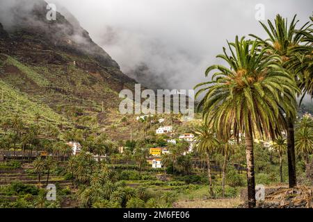 Kulturlandschaft mit Palmen im Valle Gran Rey, La Gomera, Kanarische Inseln, Spanien | Landschaft mit Palmen, Valle Gran Rey, La Gomera, Canary I Stockfoto