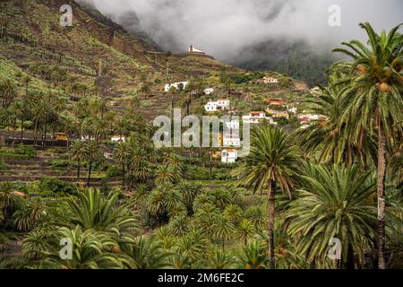 Kulturlandschaft mit Palmen im Valle Gran Rey, La Gomera, Kanarische Inseln, Spanien | Landschaft mit Palmen, Valle Gran Rey, La Gomera, Canary I Stockfoto