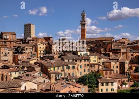 Panoramablick auf Siena mit Ziegeldächern, Duomo und Torre del Mangia - Toskana, Italien Stockfoto