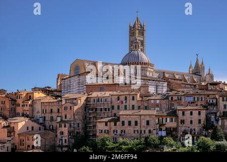 Panoramablick auf Siena mit Ziegeldächern, Duomo und Torre del Mangia - Toskana, Italien Stockfoto