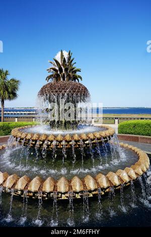 Der Ananasbrunnen im malerischen Waterfront Park, Charleston SC Stockfoto