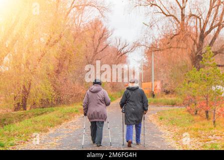 Zwei Frauen im Ruhestand in Jacken sind in einem Herbstpark inmitten der Bäume beim Nordic Walking beschäftigt. Rückansicht, der Stockfoto