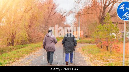 Zwei Frauen im Ruhestand in Jacken sind in einem Herbstpark inmitten der Bäume beim Nordic Walking beschäftigt. Rückansicht, der Stockfoto