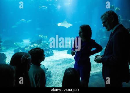 Lissabon, Portugal. 04. Januar 2023. Annalena Baerbock (2. von rechts, Bündnis 90/die Grünen), Außenministerin, besucht das Ozeanarium. Kredit: Christophe Gateau/dpa/Alamy Live News Stockfoto