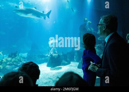 Lissabon, Portugal. 04. Januar 2023. Annalena Baerbock (2. von rechts, Bündnis 90/die Grünen), Außenministerin, besucht das Ozeanarium. Kredit: Christophe Gateau/dpa/Alamy Live News Stockfoto