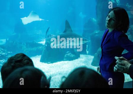 Lissabon, Portugal. 04. Januar 2023. Annalena Baerbock (Bündnis 90/die Grünen), Außenministerin, besucht das Ozeanarium. Kredit: Christophe Gateau/dpa/Alamy Live News Stockfoto