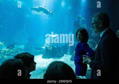 Lissabon, Portugal. 04. Januar 2023. Annalena Baerbock (2. von rechts, Bündnis 90/die Grünen), Außenministerin, besucht das Ozeanarium. Kredit: Christophe Gateau/dpa/Alamy Live News Stockfoto