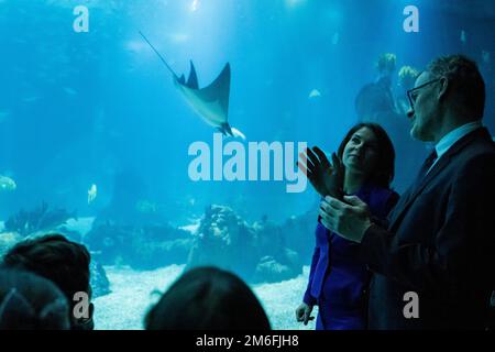 Lissabon, Portugal. 04. Januar 2023. Annalena Baerbock (2. von rechts, Bündnis 90/die Grünen), Außenministerin, besucht das Ozeanarium. Kredit: Christophe Gateau/dpa/Alamy Live News Stockfoto