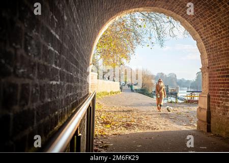 London - Dezember 2022: Hundegang am Flussufer in Richmond Stockfoto