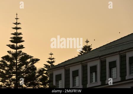 Ein goldener Sonnenuntergang über dem Hotel Vila Gale im Dorf Ericeira, Portugal Stockfoto