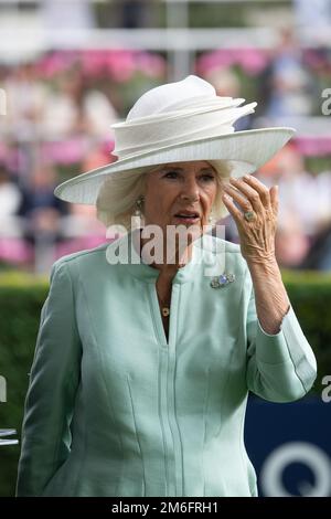 Ascot, Berkshire, Großbritannien. 23. Juli 2022. Camilla, Herzogin von Cornwall, trägt heute einen großen weißen Hut und einen blassgrünen Etuikittel beim QIPCO King George Diamon Weekend in Ascot Races. Kredit: Maureen McLean/Alamy Stockfoto