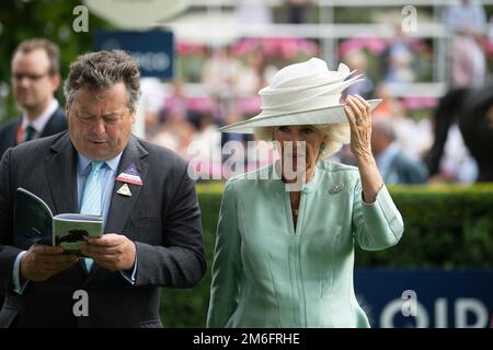 Ascot, Berkshire, Großbritannien. 23. Juli 2022. Camilla, Herzogin von Cornwall, trägt heute einen großen weißen Hut und einen blassgrünen Etuikittel beim QIPCO King George Diamon Weekend in Ascot Races. Kredit: Maureen McLean/Alamy Stockfoto