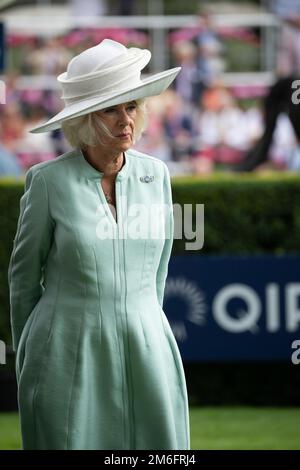 Ascot, Berkshire, Großbritannien. 23. Juli 2022. Camilla, Herzogin von Cornwall, trägt heute einen großen weißen Hut und einen blassgrünen Etuikittel beim QIPCO King George Diamon Weekend in Ascot Races. Kredit: Maureen McLean/Alamy Stockfoto