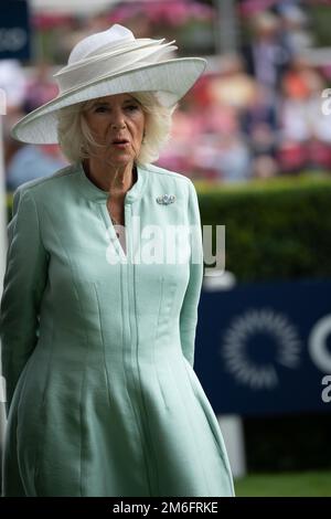 Ascot, Berkshire, Großbritannien. 23. Juli 2022. Camilla, Herzogin von Cornwall, trägt heute einen großen weißen Hut und einen blassgrünen Etuikittel beim QIPCO King George Diamon Weekend in Ascot Races. Kredit: Maureen McLean/Alamy Stockfoto
