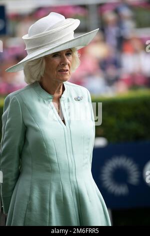 Ascot, Berkshire, Großbritannien. 23. Juli 2022. Camilla, Herzogin von Cornwall, trägt heute einen großen weißen Hut und einen blassgrünen Etuikittel beim QIPCO King George Diamon Weekend in Ascot Races. Kredit: Maureen McLean/Alamy Stockfoto