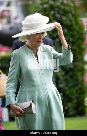 Ascot, Berkshire, Großbritannien. 23. Juli 2022. Camilla, Herzogin von Cornwall, trägt heute einen großen weißen Hut und einen blassgrünen Etuikittel beim QIPCO King George Diamon Weekend in Ascot Races. Kredit: Maureen McLean/Alamy Stockfoto