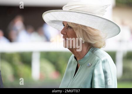 Ascot, Berkshire, Großbritannien. 23. Juli 2022. Camilla, Herzogin von Cornwall, trägt heute einen großen weißen Hut und einen blassgrünen Etuikittel beim QIPCO King George Diamon Weekend in Ascot Races. Kredit: Maureen McLean/Alamy Stockfoto