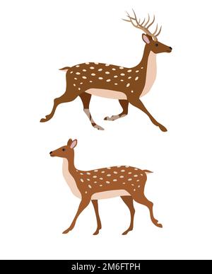 Vektor zwei flache, handgezogene Hirsche Stock Vektor