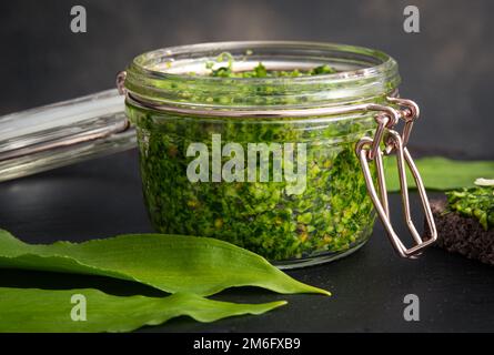 Pesto aus Allium ursinum-Blättern, bekannt als Bärlauch, Ramsons, Buckrams, breitblättriger Knoblauch, Holzknoblauchzehen, Bärlauch oder Bärlauch. Stockfoto