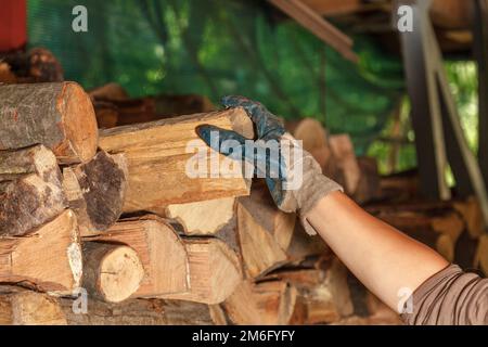 Gehacktes Holz wird unter einem speziellen Vordach gelagert, um es weiter zu trocknen und im Winter zum Heizen zu verwenden. Eine Hand in einem Schutzhandschuh stapelt einen gehackten Baum. Stockfoto