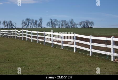 Weißer Zaun im Amish Country, Stockfoto
