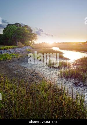 Blick auf die Sumpfwasserstraßen im Low Country in der Nähe von Charleston SC bei Sonnenuntergang Stockfoto