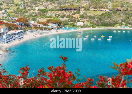 Landschaft mit Cavoli Strand von Elba Island, Toskana, Italien Stockfoto