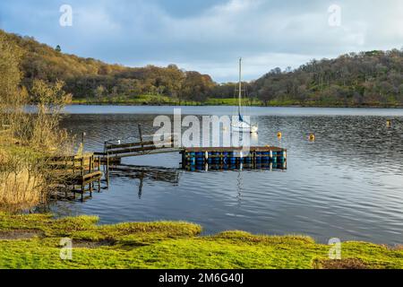 Anlegestelle in der Bandry Bay, die die kleine bewaldete Insel Inchtavannach von Aldochlay am Westufer des Loch Lomond in Schottland, Großbritannien, trennt Stockfoto