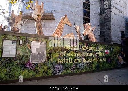 Giraffenfiguren blicken am 8. Dezember 2022 in London, Großbritannien, über ein Horten rund um eine Baustelle in der City of London. Im Zuge dieser umfassenden Umgestaltung werden Einzelhandels-, Büro- und Freizeiträume mit Aussicht angeboten. Stockfoto