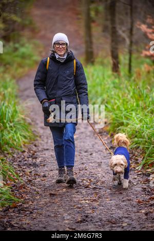 Weiße Frau in Wintermantel und Hut, die mit einem blonden Kakapoo-Hund spaziert, trägt einen Fleece-Hundeanzug auf dem Land Großbritanniens. Stockfoto