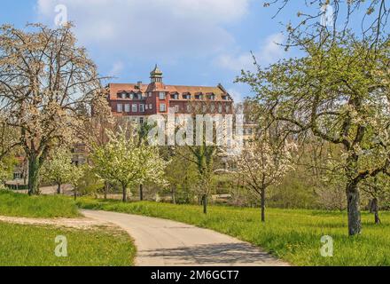 Schloss Spetzgart in Ãœberlingen-HÃ¶dingen am Bodensee Stockfoto