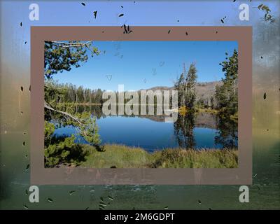 Der Sylvan Lake im Yellowstone-Nationalpark ist von einer Glasoberfläche eingerahmt, auf der ein Foto von Wasser und Blättern zu sehen ist. Sehen Sie eine Spiegelung von Bäumen. Stockfoto