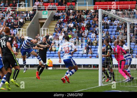 Joey van den Berg of Reading erzielt ein eigenes Tor für Brighton und erreicht damit 1-1 Punkte – Reading gegen Brighton & Hove Albion, Sky Bet Championship, Madejski Stadium, Reading – 20. August 2016. Stockfoto