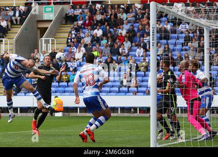 Joey van den Berg of Reading erzielt ein eigenes Tor für Brighton und erreicht damit 1-1 Punkte – Reading gegen Brighton & Hove Albion, Sky Bet Championship, Madejski Stadium, Reading – 20. August 2016. Stockfoto