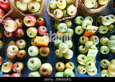 North Carolina hat auf dem State Farmers Market in Raleigh, North Carolina, Jona Gold und Golden Delicious Äpfel angebaut Stockfoto