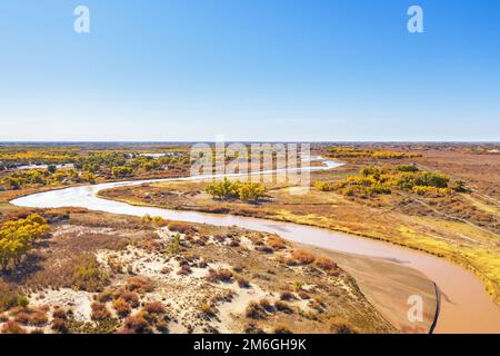 Luftaufnahme des gewundenen Flusses und des Hochwassergebiets im Herbst Stockfoto