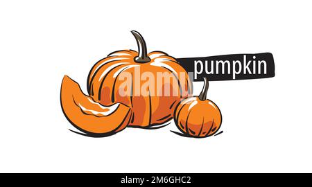 Gezogener Kürbis isoliert auf weißem Hintergrund. Stock Vektor
