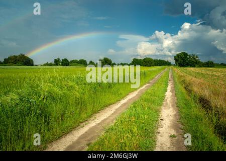 Unbefestigte Straße durch die Felder und ein Regenbogen am Himmel Stockfoto