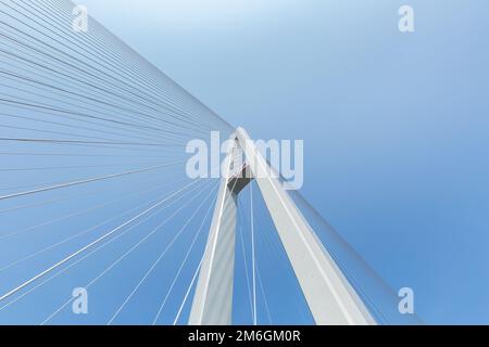 Nahaufnahme der Kabelbrücke Stockfoto
